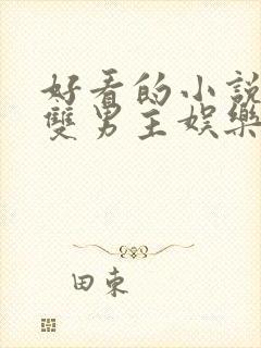 好看的小说推荐双男主娱乐圈