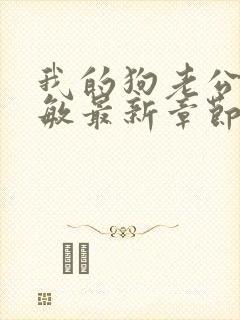 我的狗老公张淑敏最新章节免费阅读封面