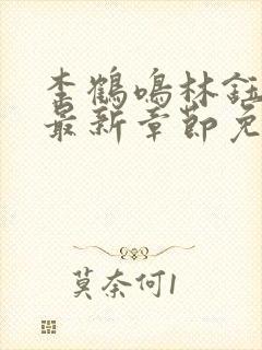 李鹤鸣林钰小说最新章节免费阅读