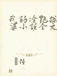 我的冷艳总裁老婆小说全文阅读封面