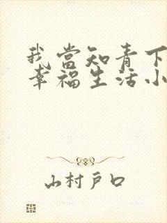 我当知青下乡的幸福生活小说封面