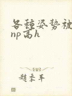 各种姿势被学长np高h