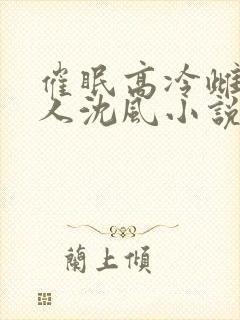 催眠高冷雌坠美人沈风小说最新章节