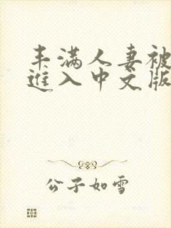 丰满人妻被猛烈进入中文版