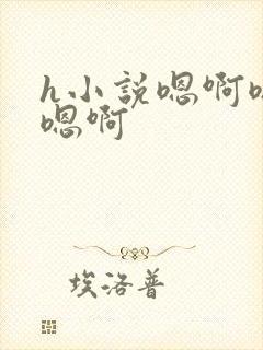 h小说嗯啊嗯啊嗯啊