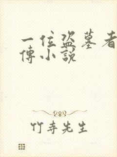 一位盗墓者的自传小说