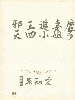 邪王追妻废材逆天四小姐多少字