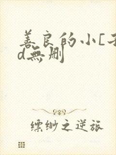 善良的小[子hd无删封面