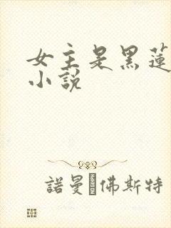 女主是黑莲花的小说