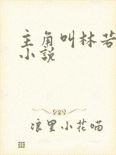 主角叫林若雪的小说