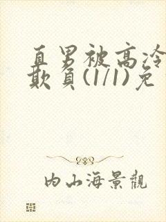 直男被高冷室友欺负(1/1)免费阅读