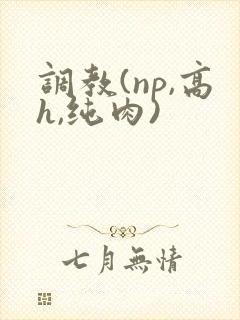 调教(np,高h,纯肉)