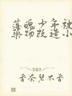 落魄少年被囚禁药物改造小说双男