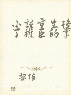 小说重生后我成了权臣的掌中娇