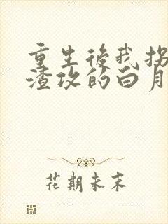 重生后我拐走了渣攻的白月光