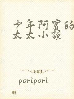 少年阿宾的房东太太小说