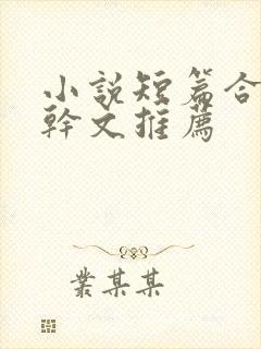 小说短篇合集高干文推荐