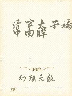 清穿太子娇妃雪中回眸