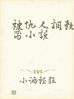 被仇人调教成禁脔小说