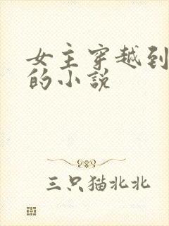 女主穿越到柯南的小说封面