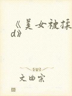 《美女被揉胸hd》