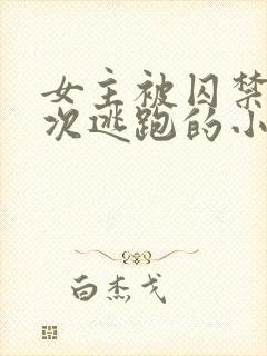 女主被囚禁并多次逃跑的小说封面