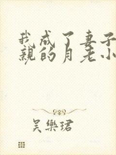我成了妻子和父亲的月老小说封面