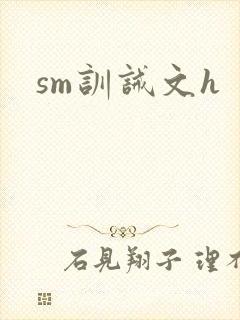 sm训诫文h封面