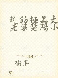 我的极品大小姐老婆楚阳小说阅读封面