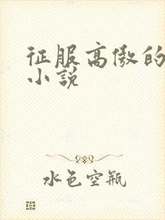 征服高傲的美人小说