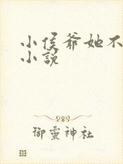 小侯爷她不嫁了小说