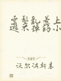 云鬓乱惹上权臣逃不掉的小说