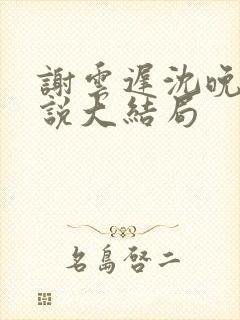 谢云迟沈晚梨小说大结局