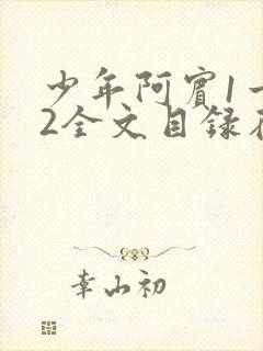 少年阿宾1一72全文目录在线