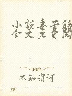 小说妻子的秘密全文免费阅读