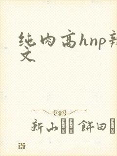 纯肉高hnp辣文