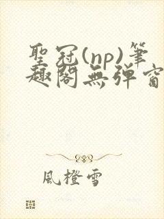 圣冠(np)笔趣阁无弹窗最新章节