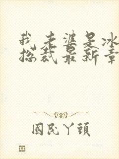 我老婆是冰山女总裁最新章节小说