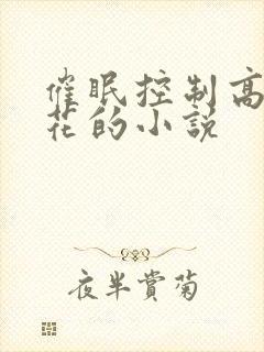 催眠控制高冷校花的小说