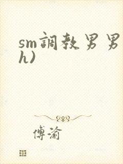 sm调教男男(h)
