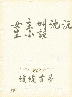 女主叫沈沅的重生小说封面