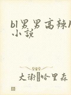 bl男男高辣h小说