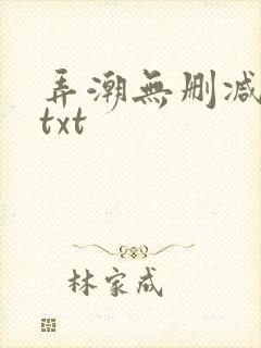 弄潮无删减精校txt