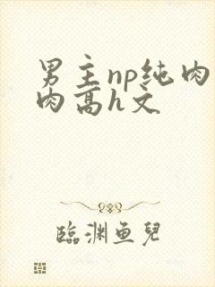 男主np纯肉巨肉高h文封面