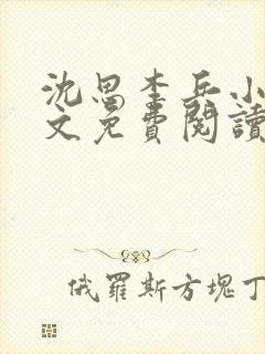 沈思李兵小说全文免费阅读