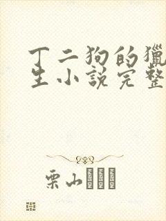 丁二狗的猎艳人生小说完整版