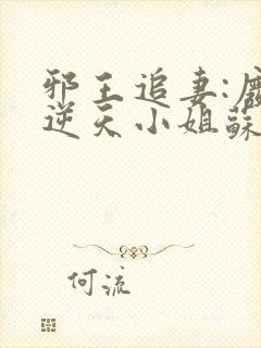 邪王追妻:废材逆天小姐苏落南宫流云封面