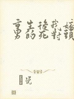 重生后我嫁给渣男的死对头网剧封面