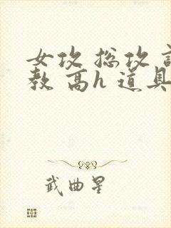 女攻 总攻 调教 高h 道具