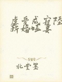 虐爱成宠陆总的新婚哑妻